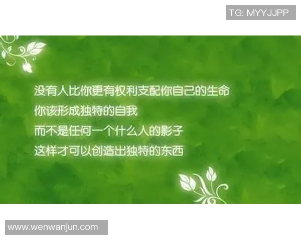 伟大足球俱乐部的辉煌历程与未来展望：激情与梦想的交汇点
